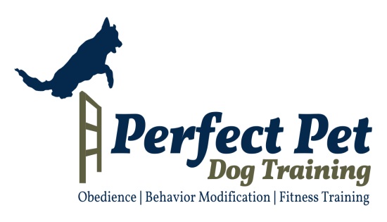perfect dog training